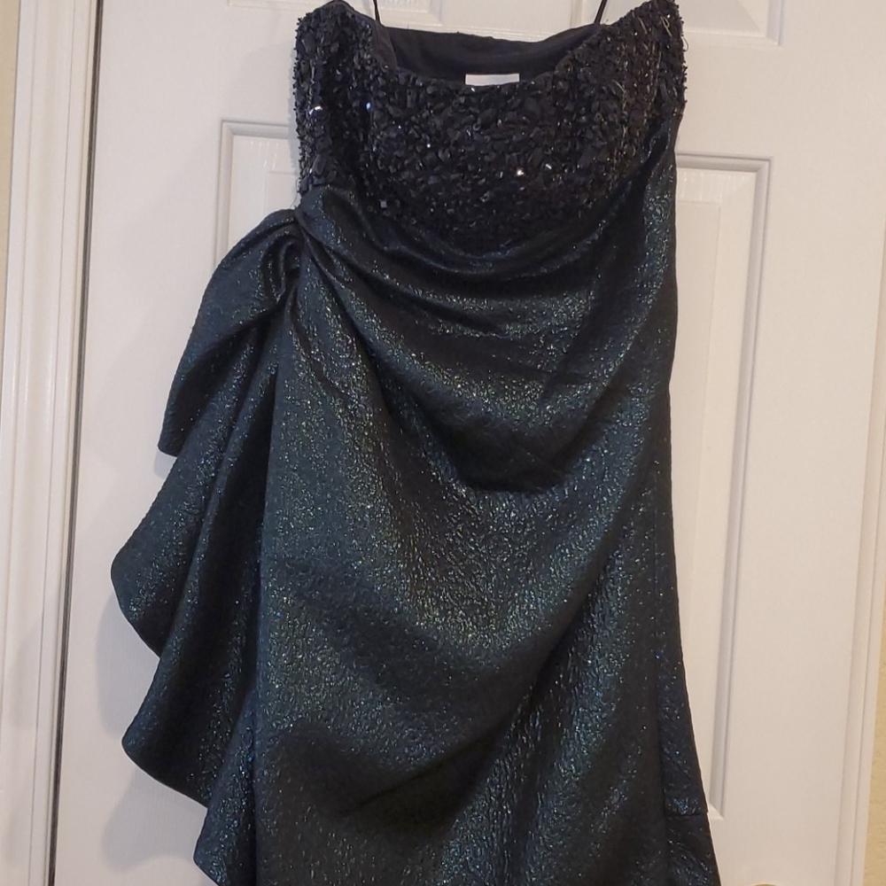 Green and Black Pamela Roland Gown